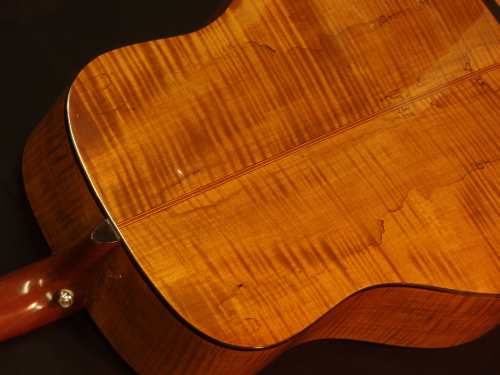 Alvarez DY70 back.