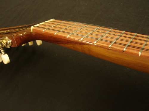 Side view of the repaired neck.