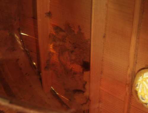 A look at crack from the inside.
