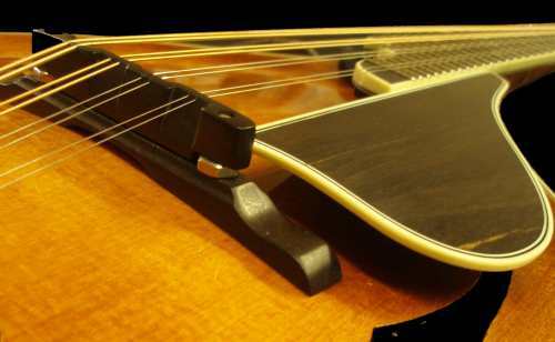  Sawchyn bridge and strings.