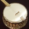 This shows the head of the silverbell banjo, the detailed resonator ring and the painted engravings on the fingerboard.